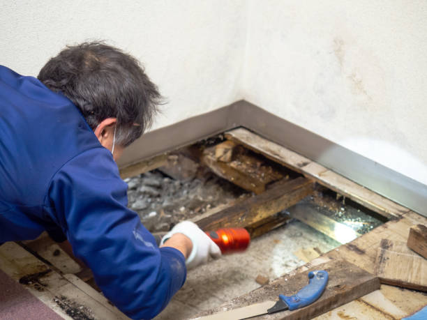 Best Water Damage Restoration  in Toquerville, UT