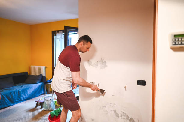 Best Mold Damage Repair  in Toquerville, UT